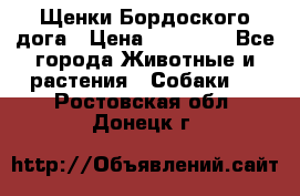 Щенки Бордоского дога › Цена ­ 60 000 - Все города Животные и растения » Собаки   . Ростовская обл.,Донецк г.